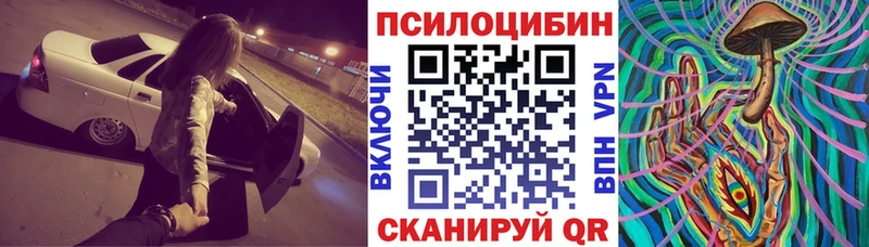 Псилоцибиновые грибы мицелий  продажа наркотиков  Трубчевск 